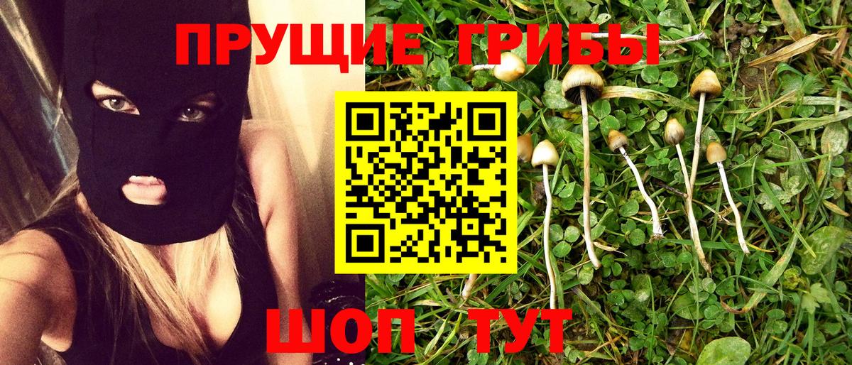 Галлюциногенные грибы GOLDEN TEACHER Карабулак